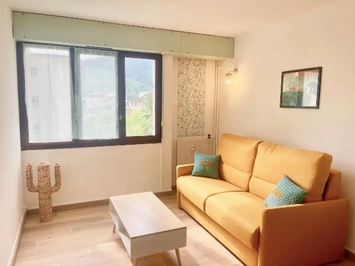 Apartment Joli Studio Proche Vieille Ville + Parking Annecy France
